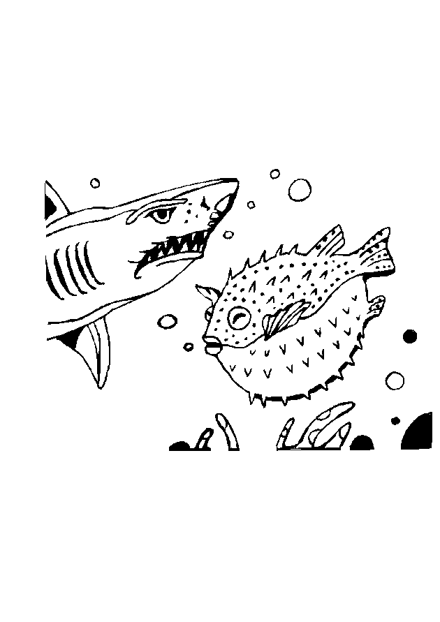 Раскраска: акула (Животные) #14856 - Бесплатные раскраски для печати