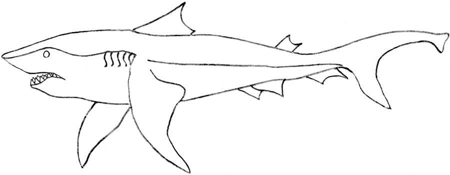 Раскраски Акулы для Детей