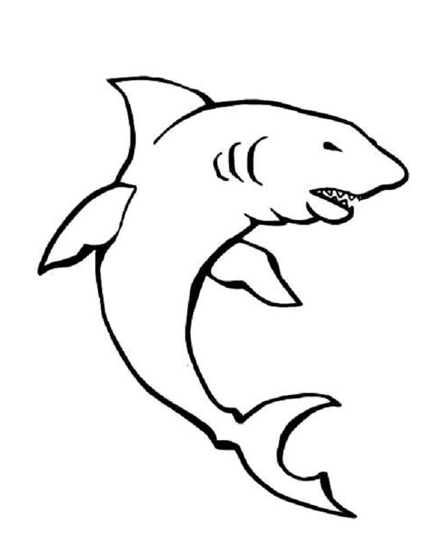 Раскраска: акула (Животные) #14890 - Бесплатные раскраски для печати