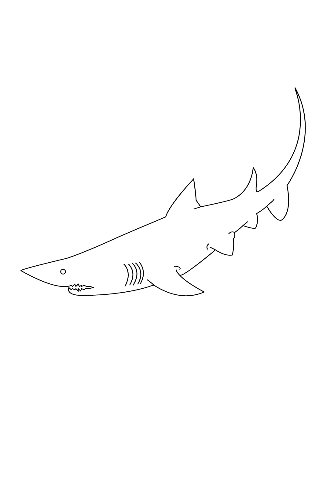 Раскраска: акула (Животные) #14906 - Бесплатные раскраски для печати