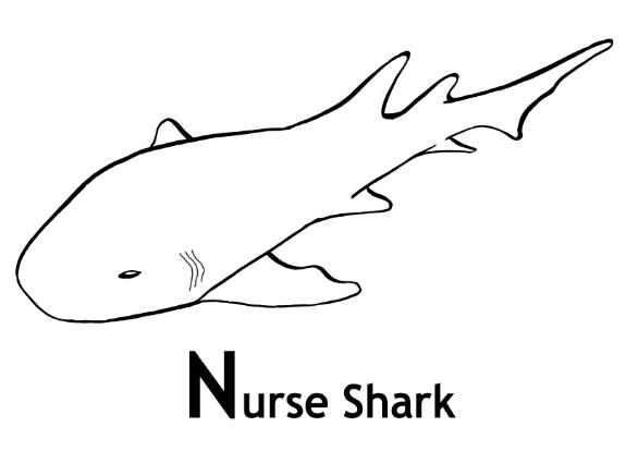 Раскраска: акула (Животные) #14914 - Бесплатные раскраски для печати
