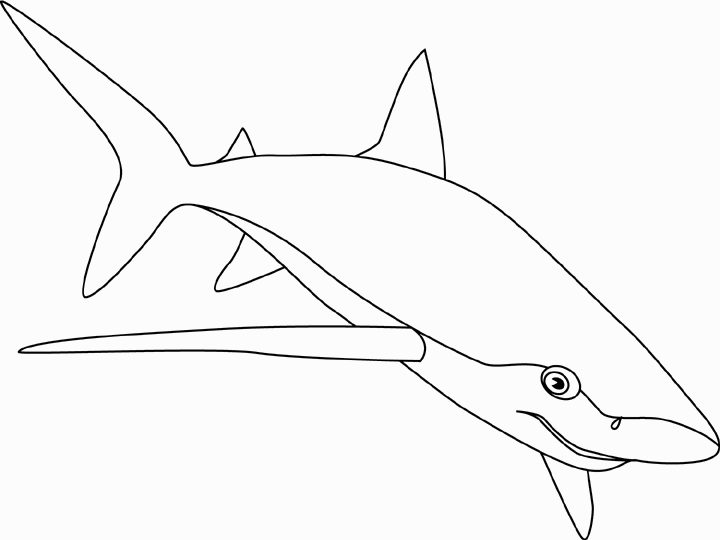Раскраска: акула (Животные) #14917 - Бесплатные раскраски для печати