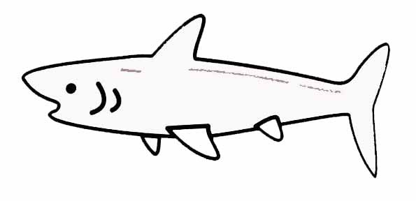 Раскраска: акула (Животные) #14926 - Бесплатные раскраски для печати