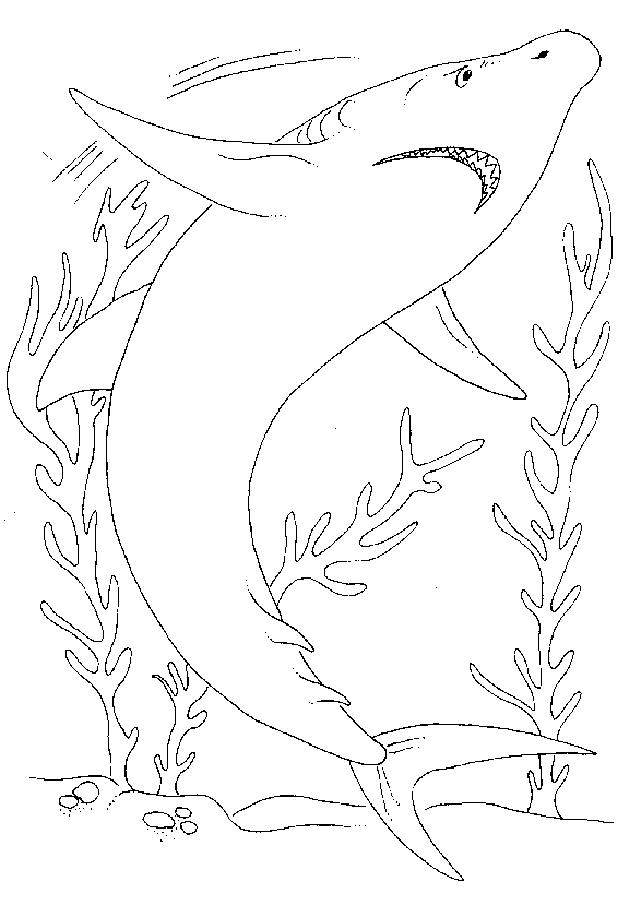 Раскраска: акула (Животные) #14927 - Бесплатные раскраски для печати