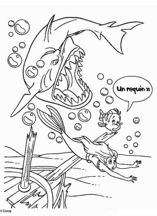 Раскраска: акула (Животные) #14938 - Бесплатные раскраски для печати