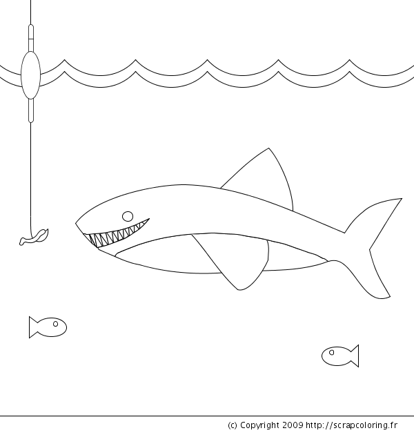 Раскраска: акула (Животные) #14941 - Бесплатные раскраски для печати