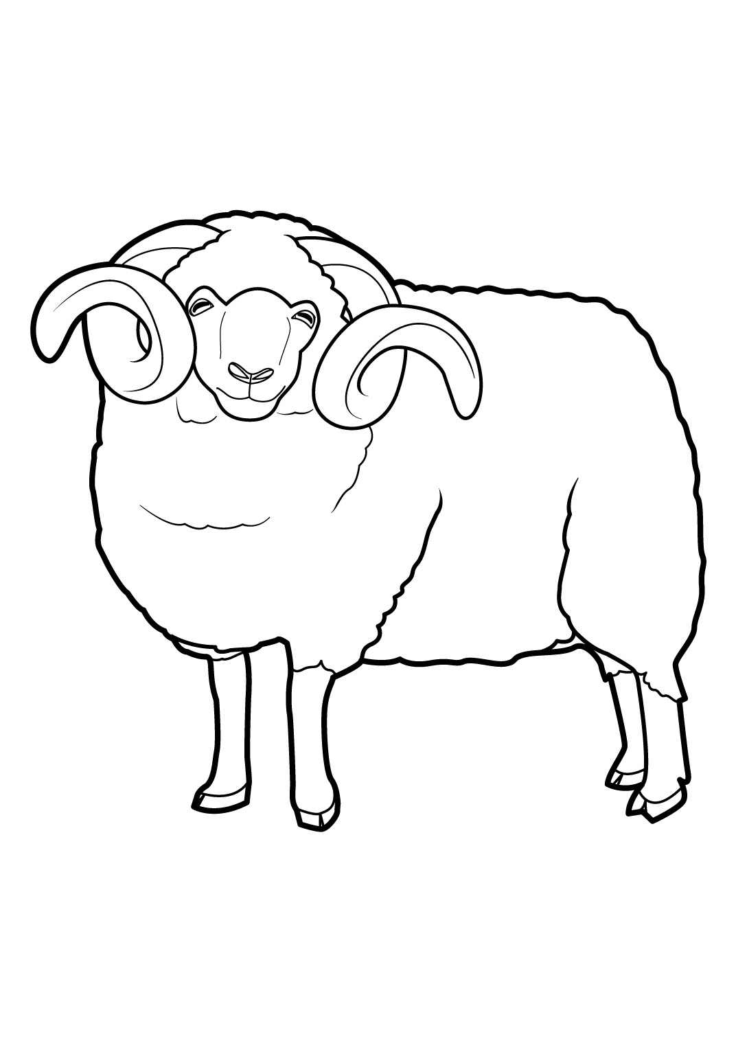 Раскраска: овца (Животные) #11401 - Бесплатные раскраски для печати