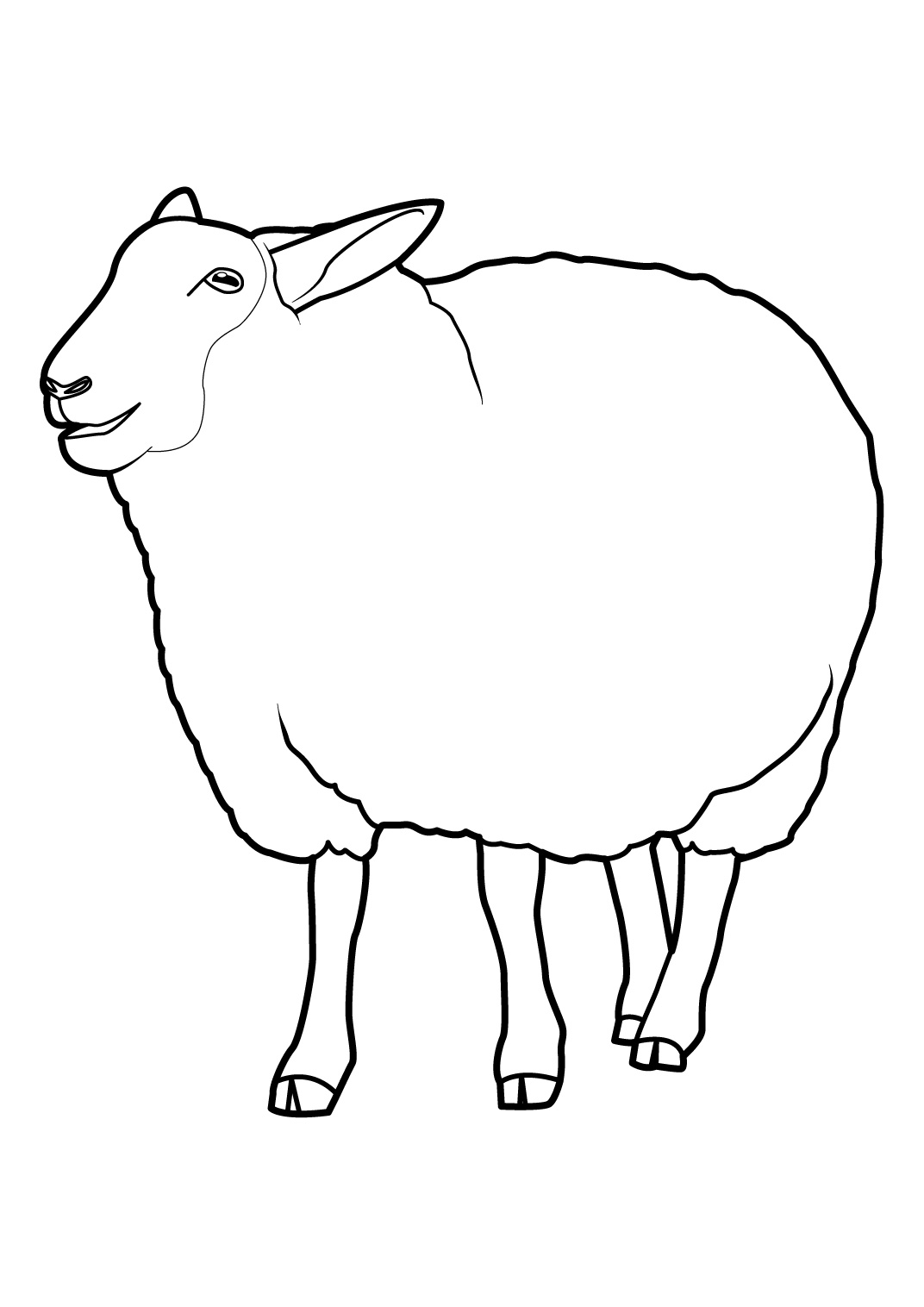 Рисунки овец лёгкие