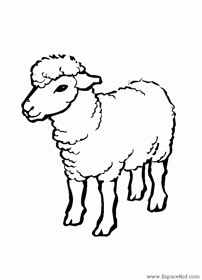 Раскраска: овца (Животные) #11409 - Бесплатные раскраски для печати