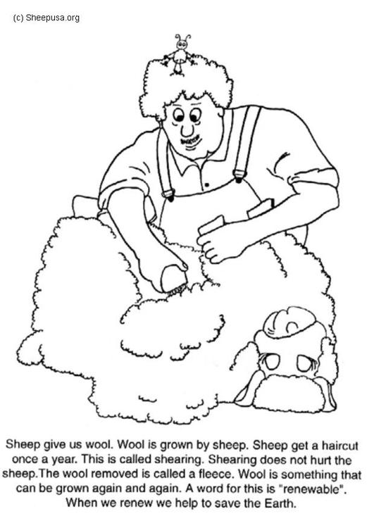 Раскраска: овца (Животные) #11411 - Бесплатные раскраски для печати