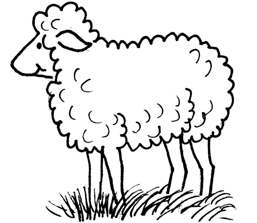 Раскраска: овца (Животные) #11412 - Бесплатные раскраски для печати