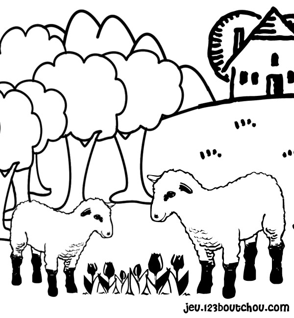 Раскраска: овца (Животные) #11416 - Бесплатные раскраски для печати