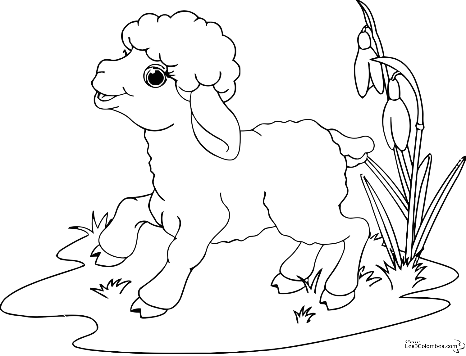 Раскраска: овца (Животные) #11422 - Бесплатные раскраски для печати