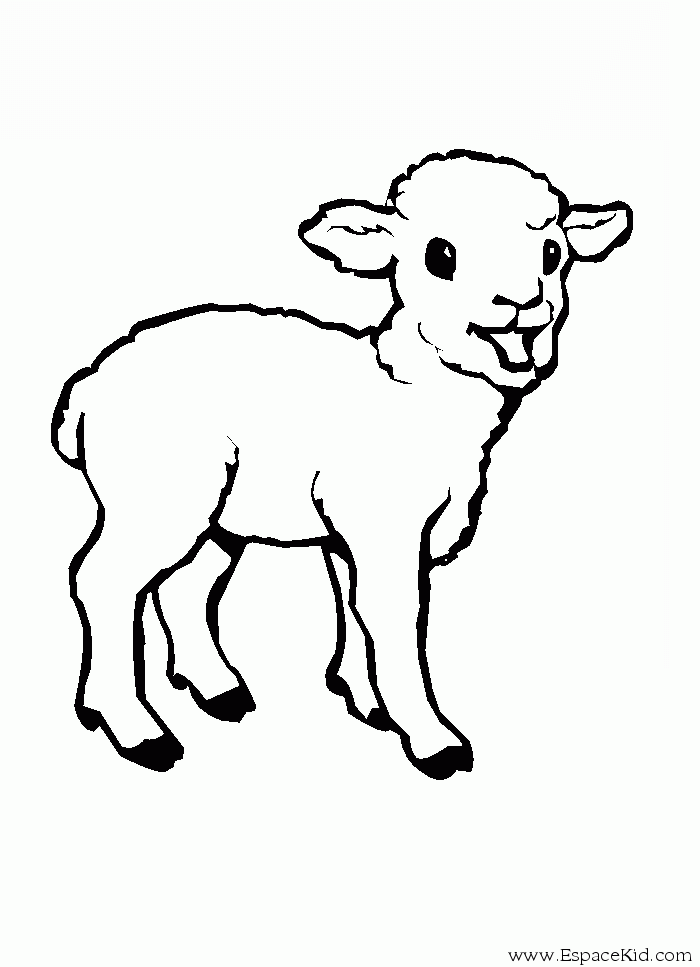 Раскраска: овца (Животные) #11427 - Бесплатные раскраски для печати