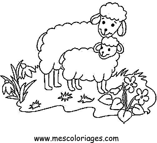 Раскраска: овца (Животные) #11436 - Бесплатные раскраски для печати