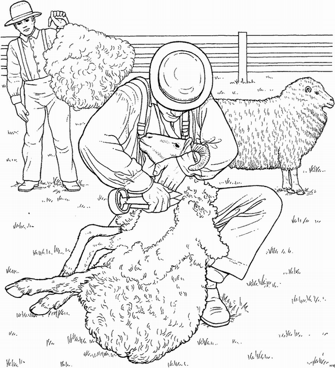 Раскраска: овца (Животные) #11461 - Бесплатные раскраски для печати