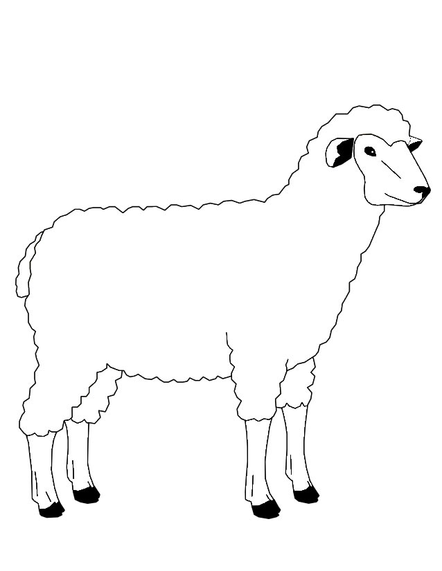 Раскраска по номерам Иисус и овцы (BRM7781)