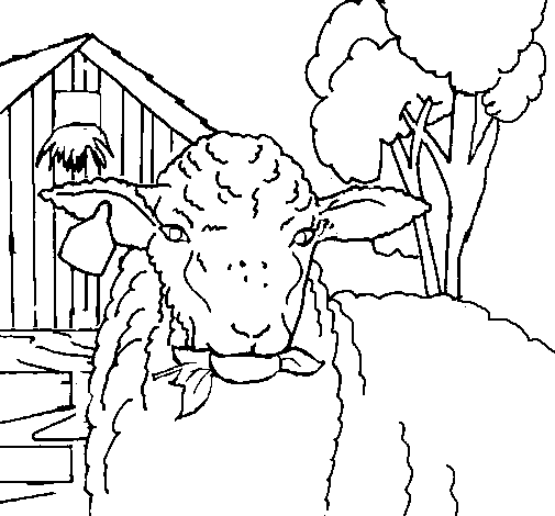 Раскраска: овца (Животные) #11479 - Бесплатные раскраски для печати