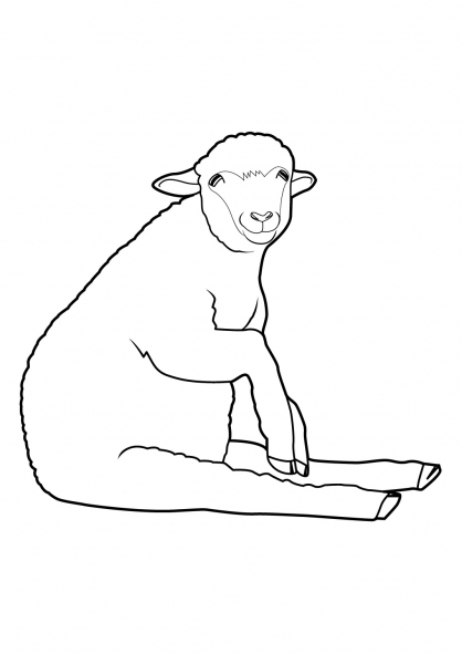 Раскраска: овца (Животные) #11492 - Бесплатные раскраски для печати