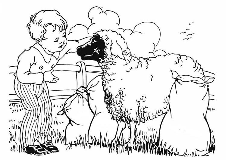 Раскраска: овца (Животные) #11497 - Бесплатные раскраски для печати