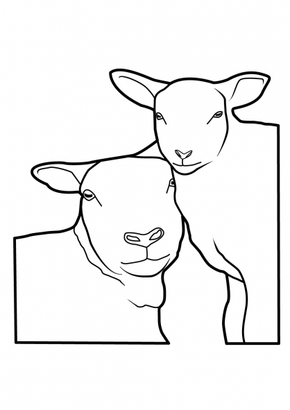 Раскраска: овца (Животные) #11514 - Бесплатные раскраски для печати