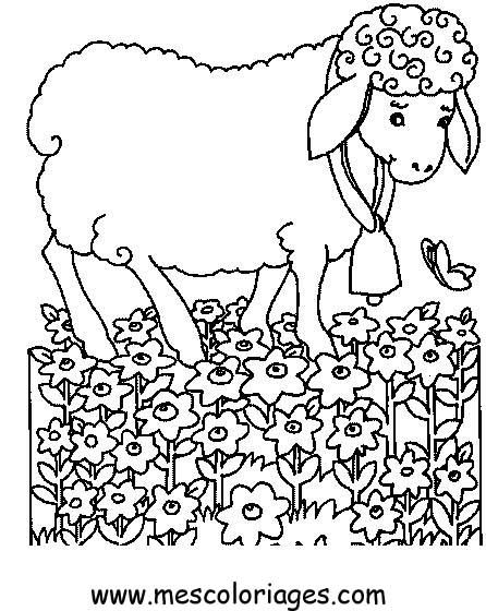 Раскраска: овца (Животные) #11533 - Бесплатные раскраски для печати