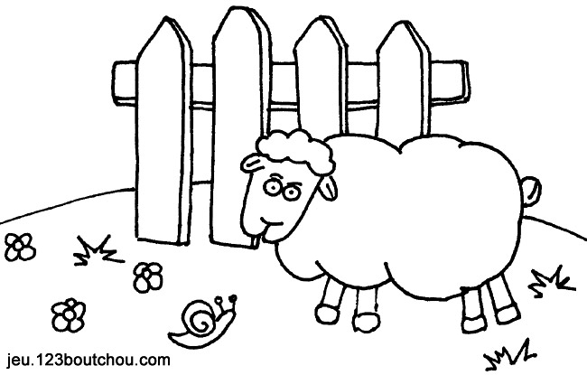 Раскраска: овца (Животные) #11539 - Бесплатные раскраски для печати