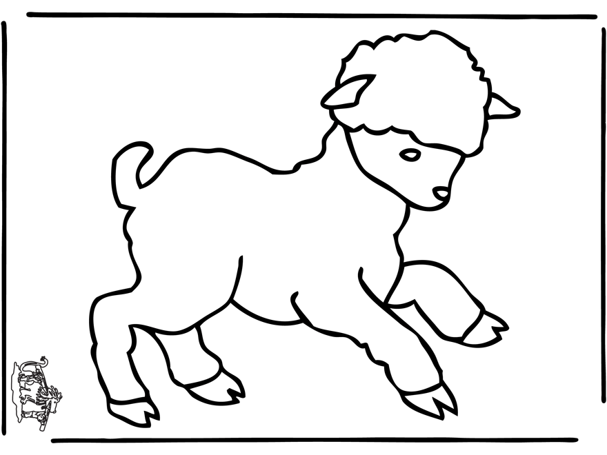 Раскраска: овца (Животные) #11559 - Бесплатные раскраски для печати