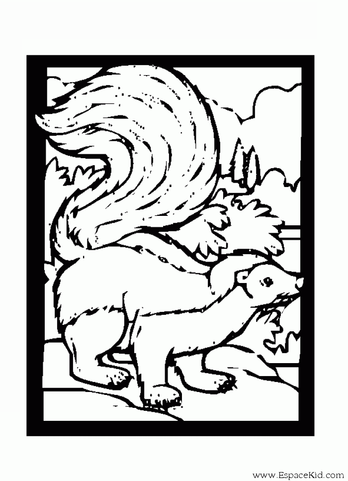 Раскраска: скунс (Животные) #11290 - Бесплатные раскраски для печати