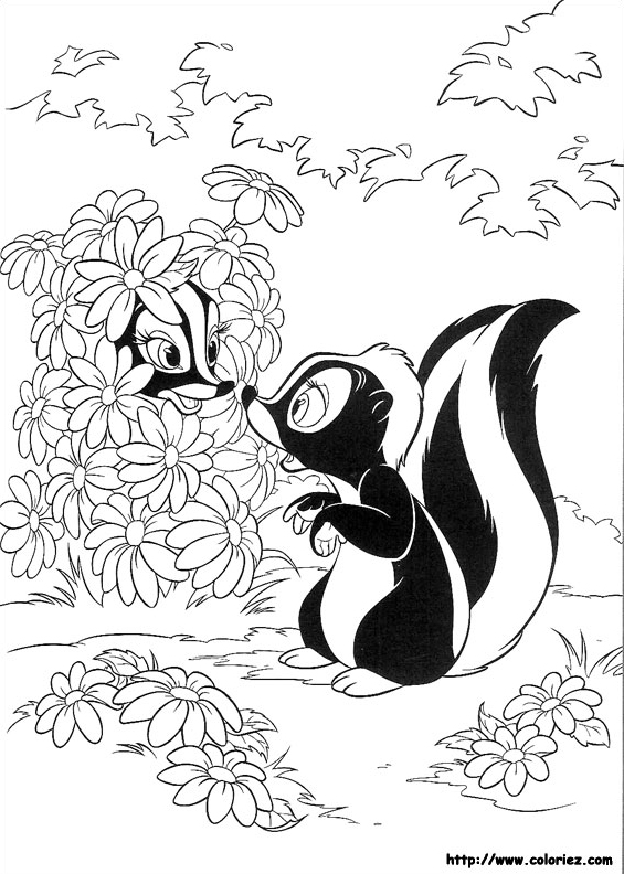 Раскраска: скунс (Животные) #11295 - Бесплатные раскраски для печати