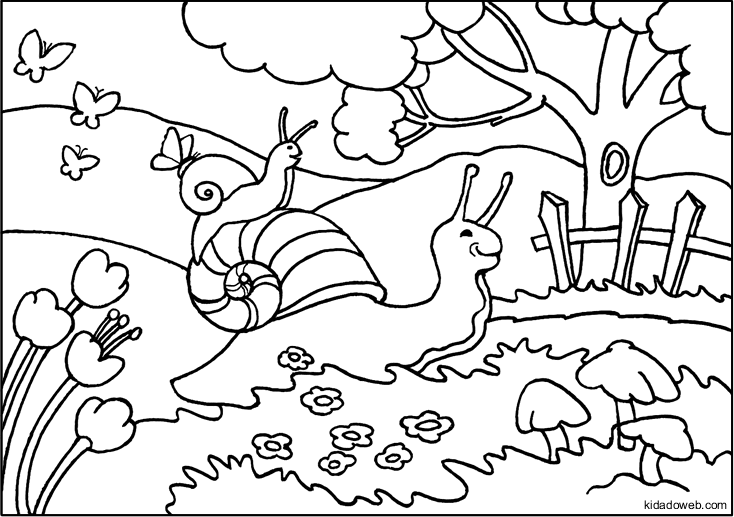Раскраска: улитка (Животные) #6543 - Бесплатные раскраски для печати
