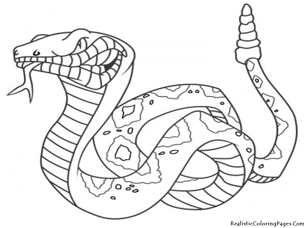 Раскраска: змея (Животные) #14342 - Бесплатные раскраски для печати