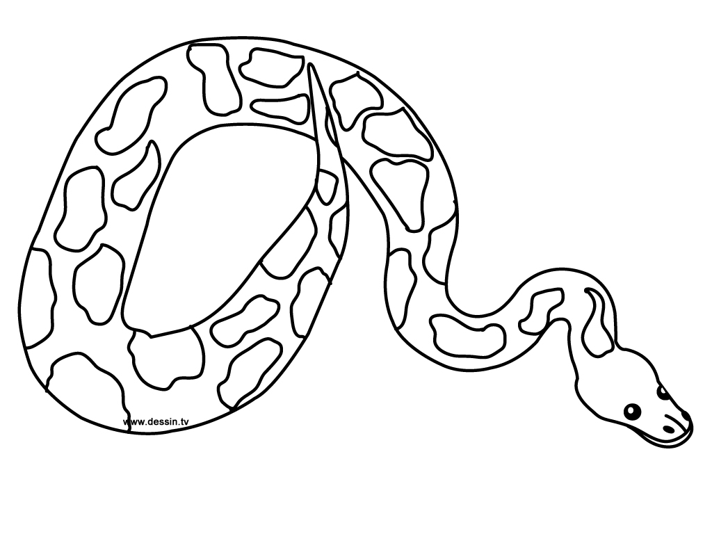 Раскраска: змея (Животные) #14352 - Бесплатные раскраски для печати
