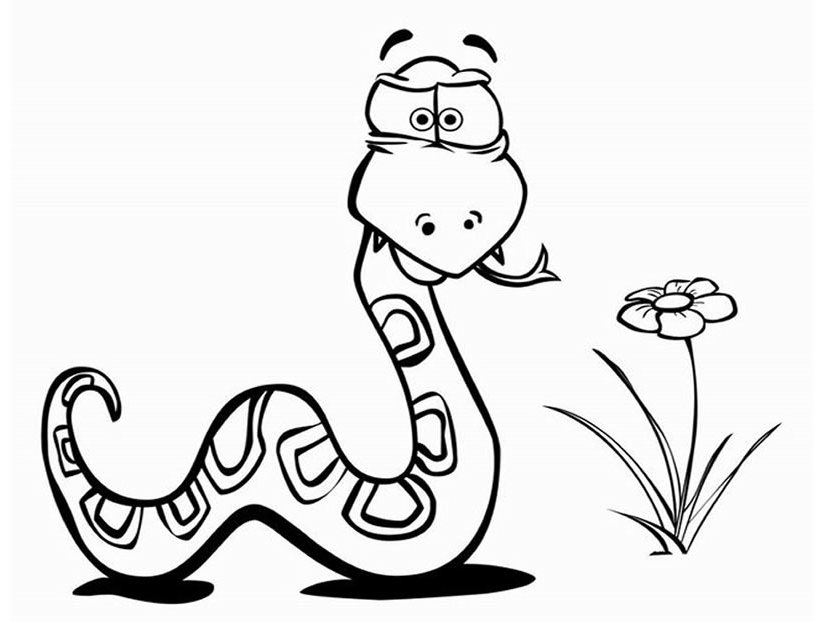 Раскраска: змея (Животные) #14356 - Бесплатные раскраски для печати