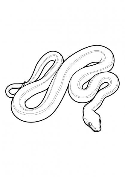 Раскраска: змея (Животные) #14358 - Бесплатные раскраски для печати