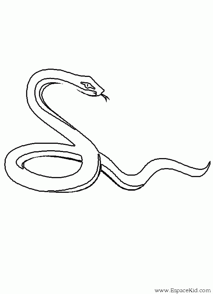 Раскраска: змея (Животные) #14365 - Бесплатные раскраски для печати