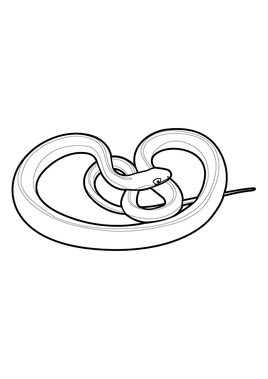 Раскраска: змея (Животные) #14430 - Бесплатные раскраски для печати