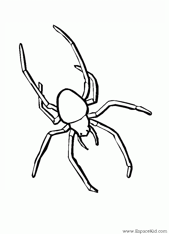 Раскраска: паук (Животные) #587 - Бесплатные раскраски для печати
