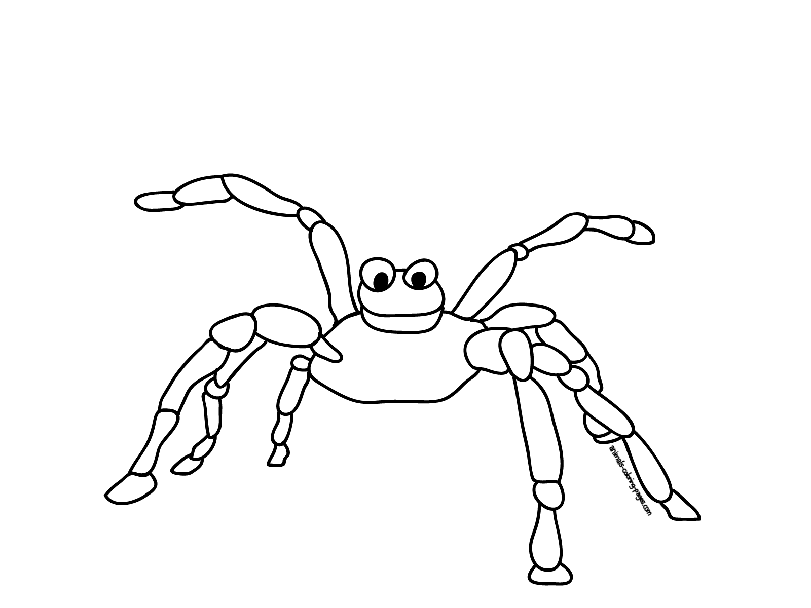 Раскраска: паук (Животные) #611 - Бесплатные раскраски для печати
