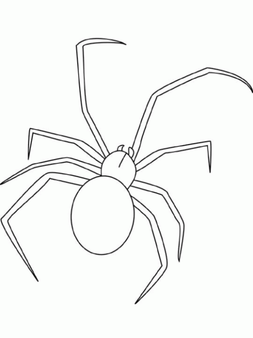 Раскраска: паук (Животные) #613 - Бесплатные раскраски для печати