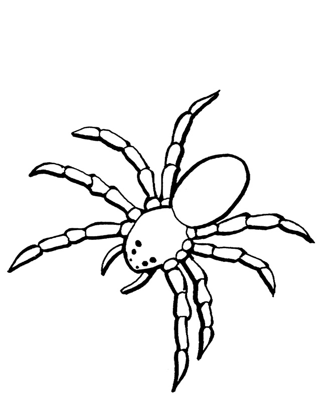 Раскраска: паук (Животные) #621 - Бесплатные раскраски для печати