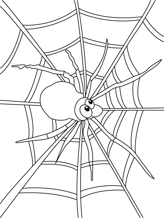 Раскраска: паук (Животные) #648 - Бесплатные раскраски для печати