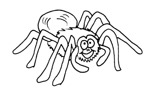 Раскраска: паук (Животные) #656 - Бесплатные раскраски для печати