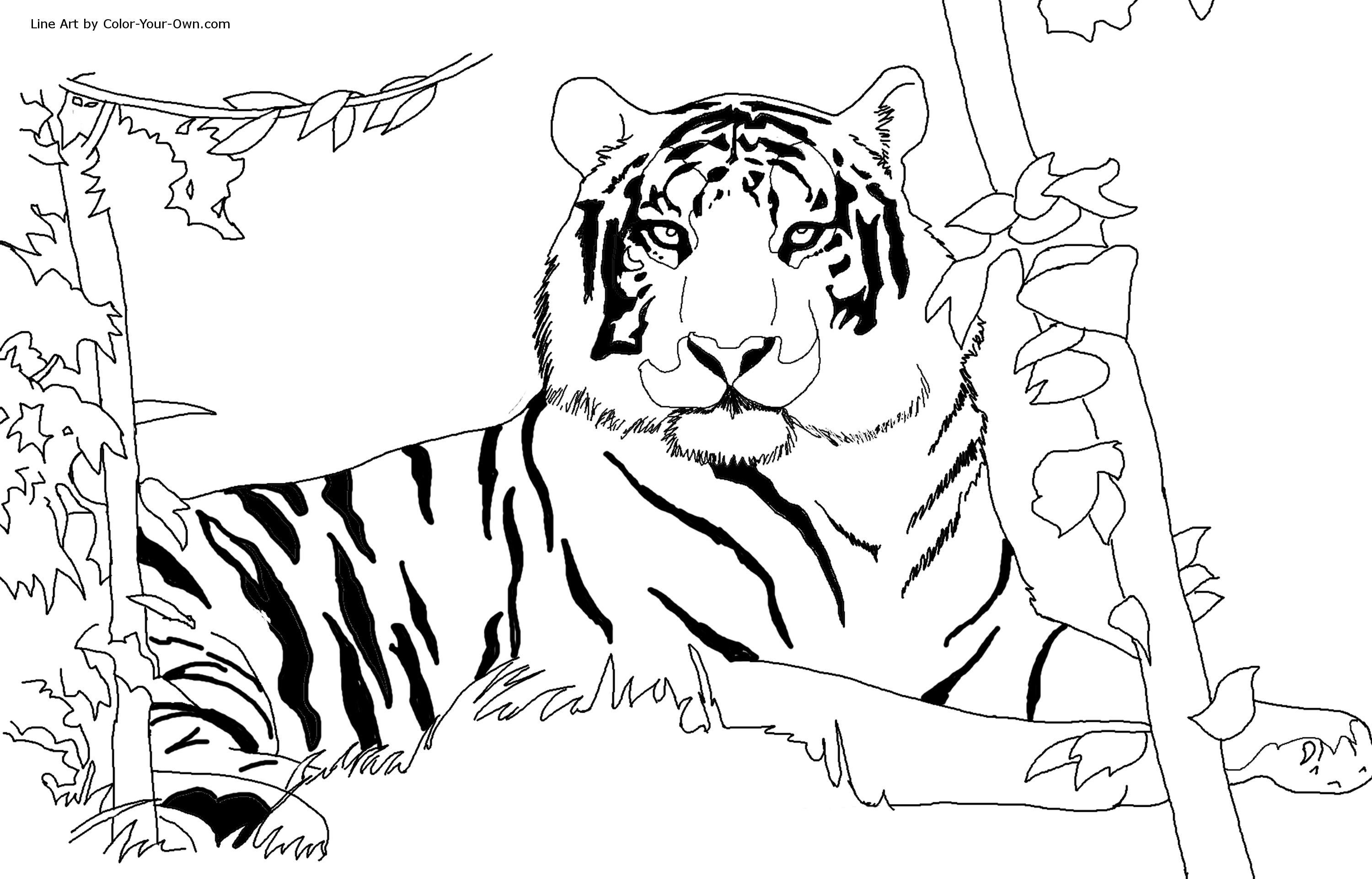 Раскраска: Tigris (Животные) #13590 - Бесплатные раскраски для печати
