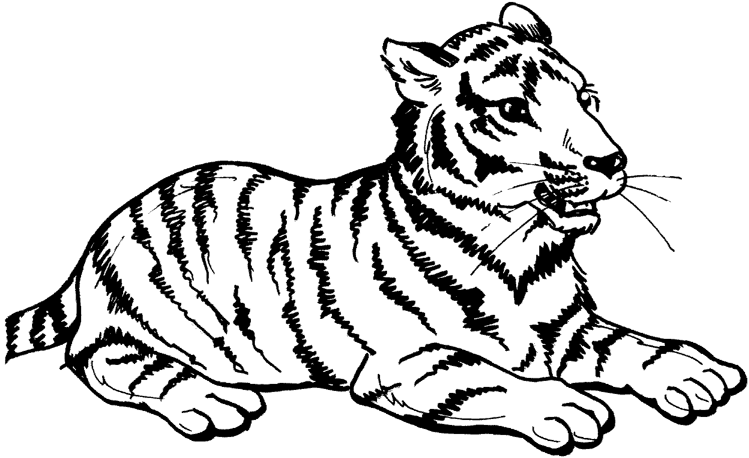 Раскраска: Tigris (Животные) #13597 - Бесплатные раскраски для печати