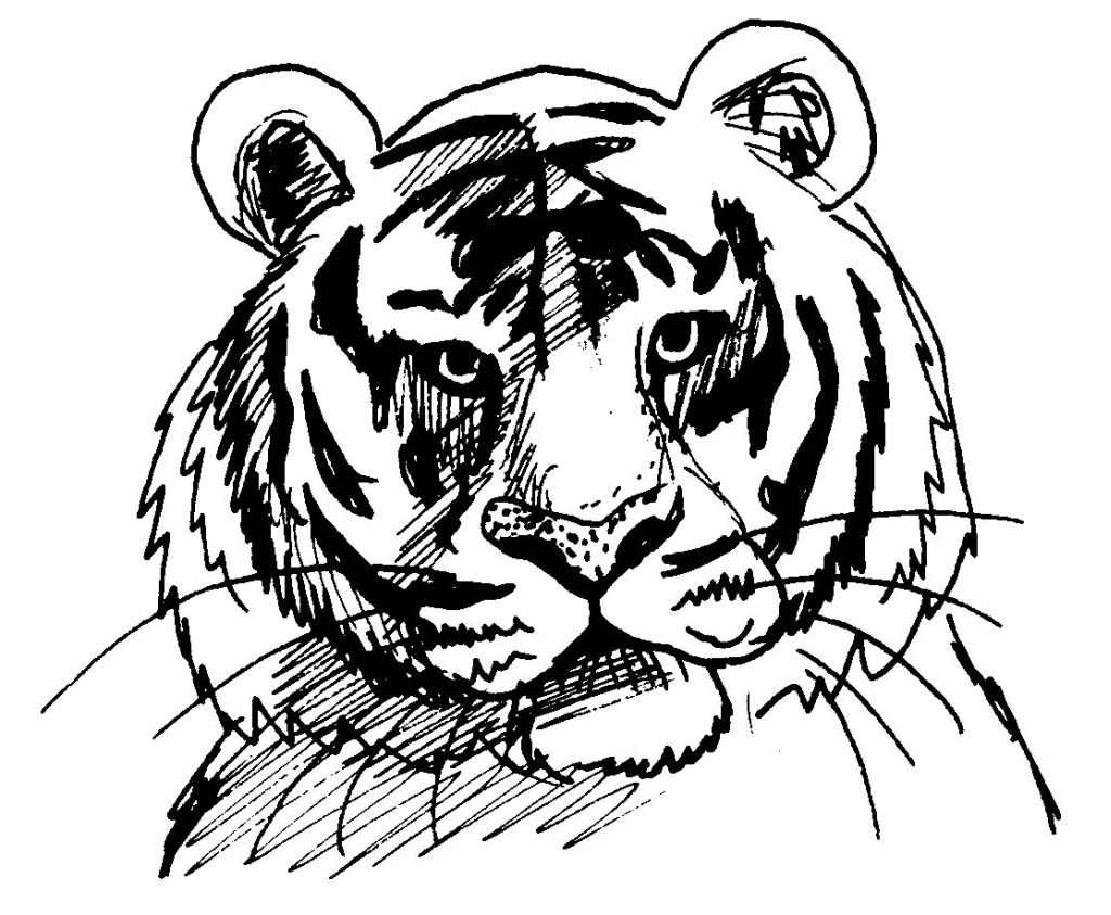 Раскраска: Tigris (Животные) #13610 - Бесплатные раскраски для печати