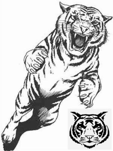 Раскраска: Tigris (Животные) #13672 - Бесплатные раскраски для печати