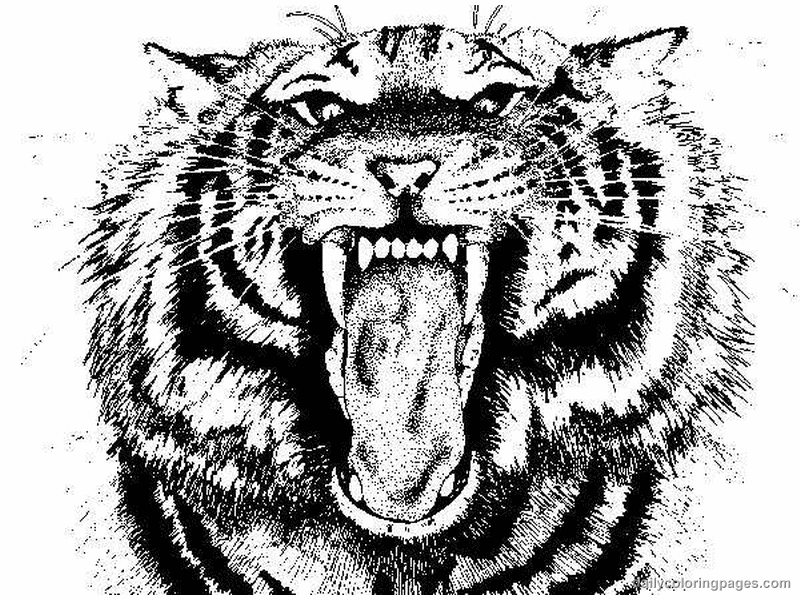 Раскраска: Tigris (Животные) #13679 - Бесплатные раскраски для печати