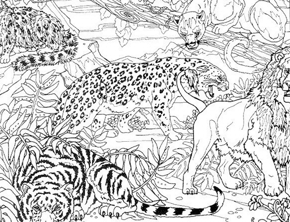 Раскраска: Tigris (Животные) #13711 - Бесплатные раскраски для печати