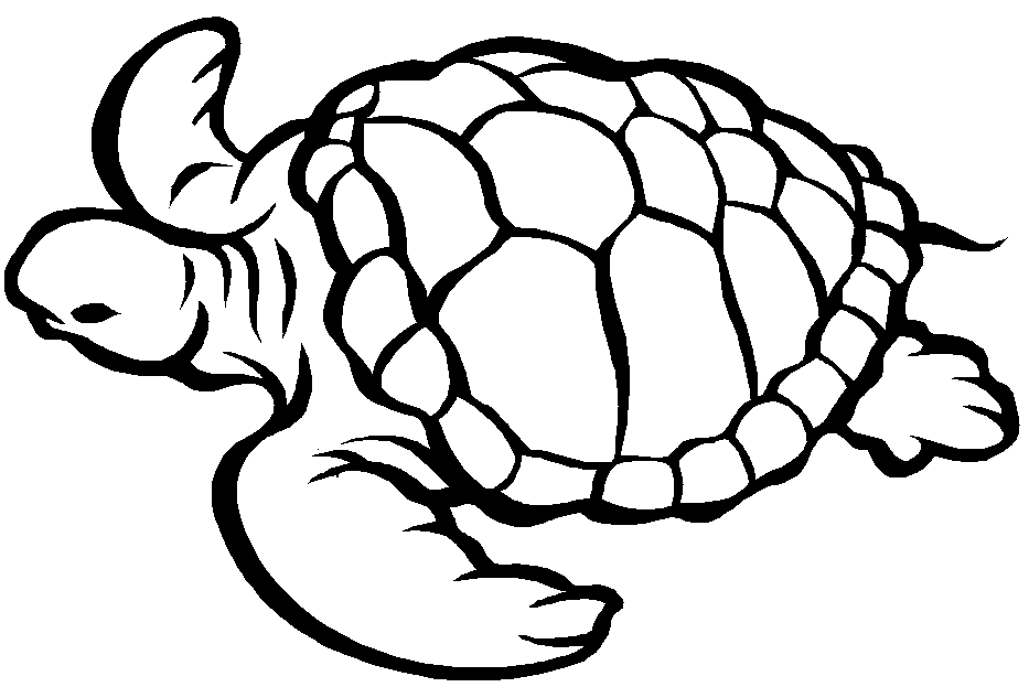 Раскраска: черепаха (Животные) #13390 - Бесплатные раскраски для печати